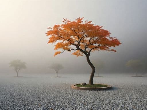 minimalist japanese zen garden in morning fog, raked gravel, single maple tree