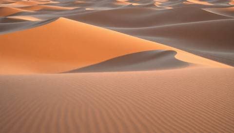 Wind-carved desert dunes at first light, long shadows, fine sand texture, minimal landscape photography